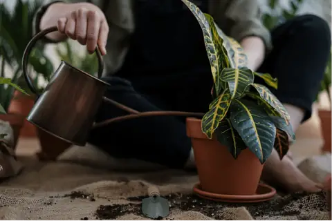 Ways to Become an Eco-Friendlier Person for A Better World