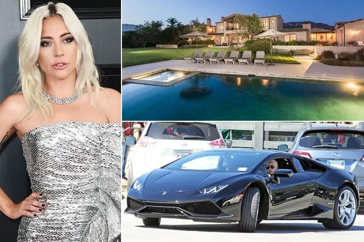Lady Gaga: Singer & Actress : $300 Million