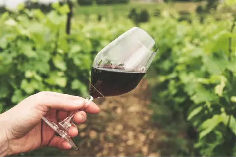 European Wine Tours to Enjoy this Summer – Hidden Gems You’d Be Dumb Not to Check Out!