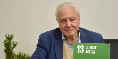 Honoring Sir David Attenborough | The Legacy of Environmentalist Celebs