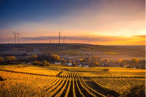 3 Myths About Sustainable Living That You Need to Stop Believing Now