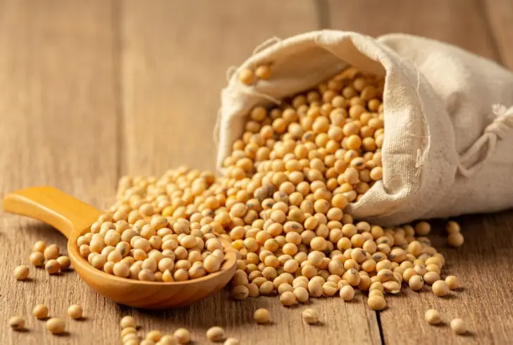 Understanding what is vegan cheese made of is essential for those exploring dairy-free options.