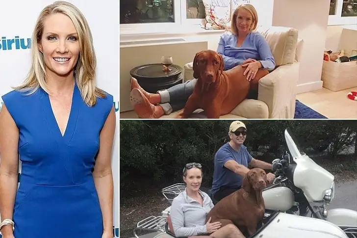 Dana Perino: Political Commentator – $6 Million