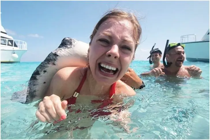 No, Stingray, No