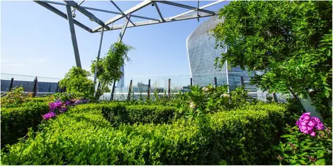 How To Set Up A Lush Green Rooftop Garden