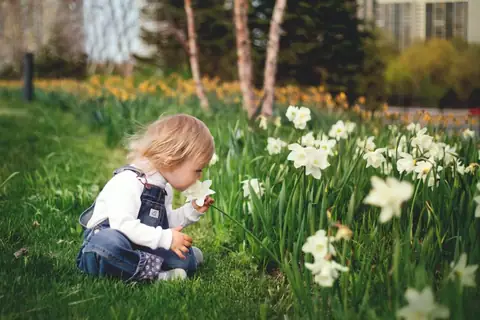 10 Green Business Ideas For Eco-Loving Entrepreneurs
