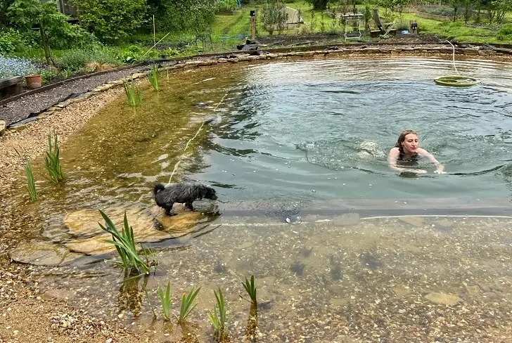 The benefits of natural pools.