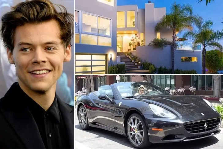 Harry Styles: Musician – $75 Million