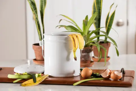 Mill Kitchen Bin: High-Tech Electric Trash That Turns Food Scraps Into Feed