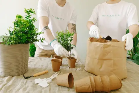 How to Become a Renewable Energy Entrepreneur