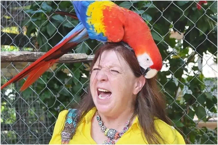 Next: Vacation Photos Gone Viral For All The Wrong Reasons – Seriously Awkward Vacation Snaps That Will Make You Think Twice About Your Next Trip!
