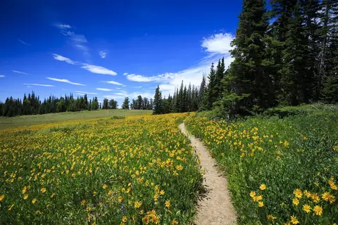 Why People Encouraged Staying Outdoors During the Pandemic
