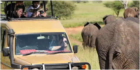 Planning A Wildlife Safari Trip? Here’s What You Need to Pack For Your Exciting Getaway!