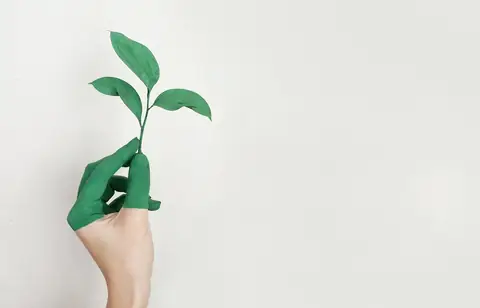 Net Zero Strategy: Build Back Greener