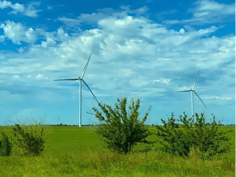 A Guide To Transform Your Company Into A Sustainable One